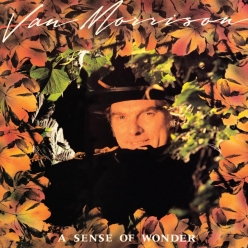 Van Morrison - A Sense of Wonder